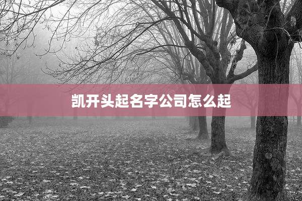 凯开头起名字公司怎么起