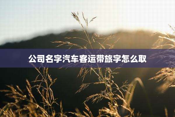 公司名字汽车客运带旅字怎么取