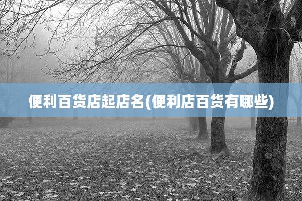 便利百货店起店名(便利店百货有哪些)