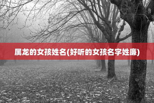 属龙的女孩姓名(好听的女孩名字姓廉)