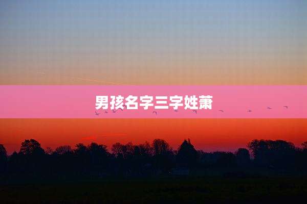 男孩名字三字姓萧