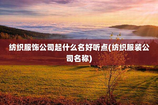 纺织服饰公司起什么名好听点(纺织服装公司名称)