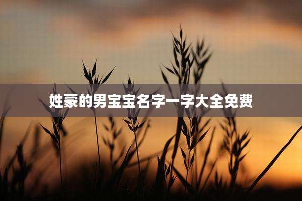姓蒙的男宝宝名字一字大全免费