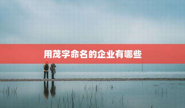 用茂字命名的企业有哪些