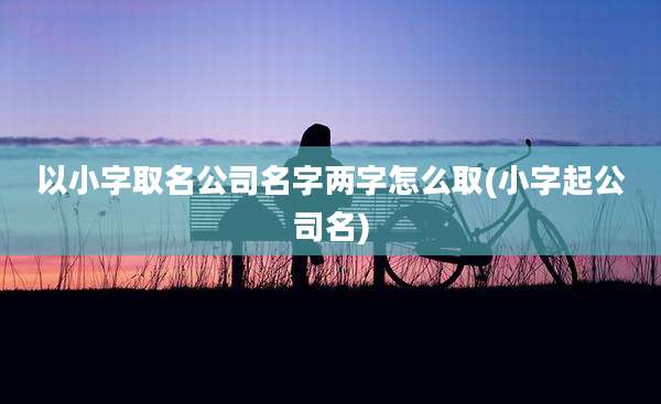 以小字取名公司名字两字怎么取(小字起公司名)