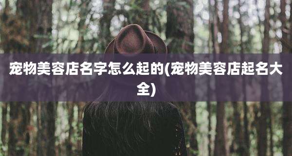 宠物美容店名字怎么起的(宠物美容店起名大全)