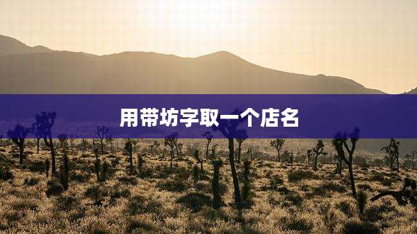 用带坊字取一个店名