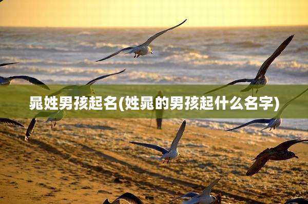 晁姓男孩起名(姓晁的男孩起什么名字)