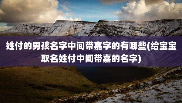 姓付的男孩名字中间带嘉字的有哪些(给宝宝取名姓付中间带嘉的名字)