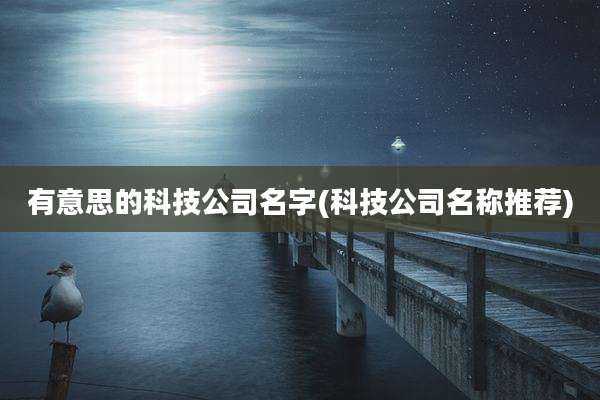 有意思的科技公司名字(科技公司名称推荐)