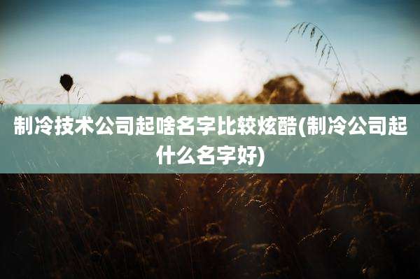 制冷技术公司起啥名字比较炫酷(制冷公司起什么名字好)
