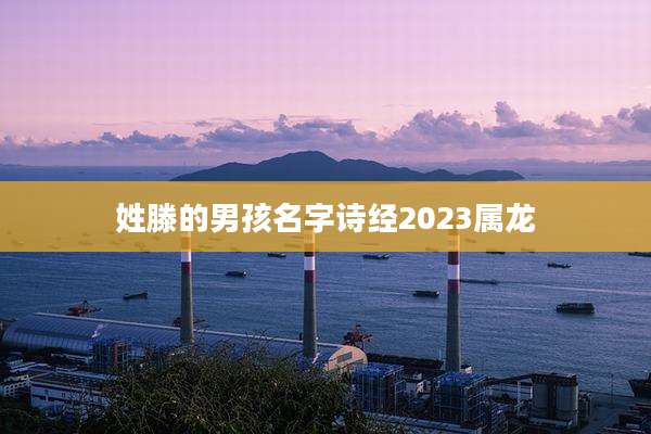 姓滕的男孩名字诗经2023属龙