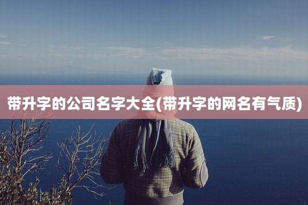 带升字的公司名字大全(带升字的网名有气质)
