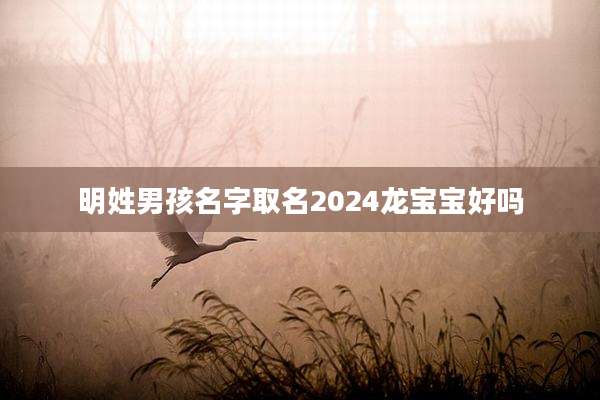 明姓男孩名字取名2024龙宝宝好吗