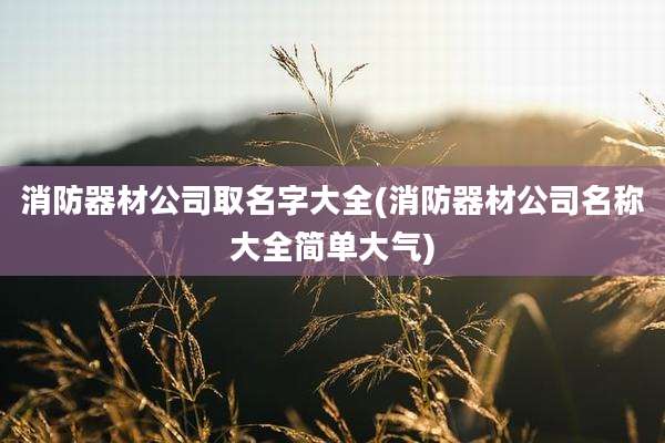 消防器材公司取名字大全(消防器材公司名称大全简单大气)