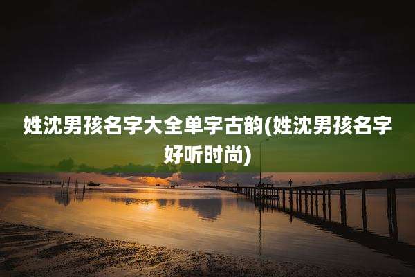 姓沈男孩名字大全单字古韵(姓沈男孩名字好听时尚)