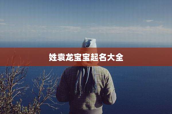 姓袁龙宝宝起名大全