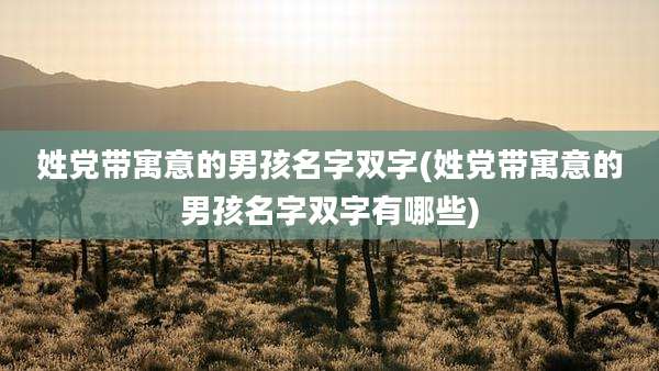 姓党带寓意的男孩名字双字(姓党带寓意的男孩名字双字有哪些)