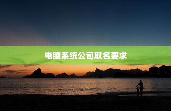 电脑系统公司取名要求