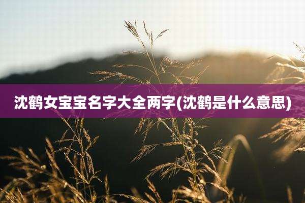 沈鹤女宝宝名字大全两字(沈鹤是什么意思)