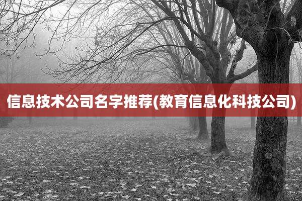 信息技术公司名字推荐(教育信息化科技公司)