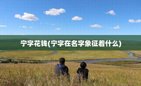宁字花钱(宁字在名字象征着什么)