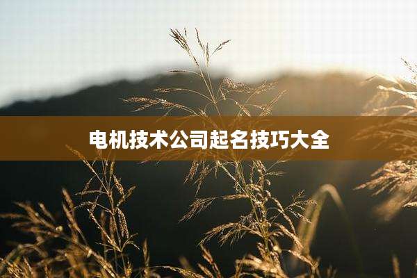 电机技术公司起名技巧大全