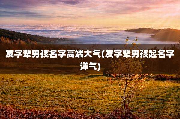 友字辈男孩名字高端大气(友字辈男孩起名字洋气)