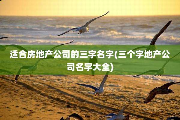 适合房地产公司的三字名字(三个字地产公司名字大全)