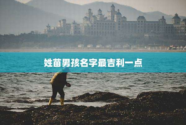 姓苗男孩名字最吉利一点