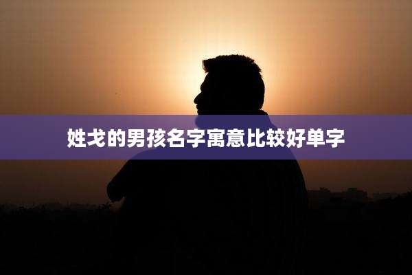 姓戈的男孩名字寓意比较好单字