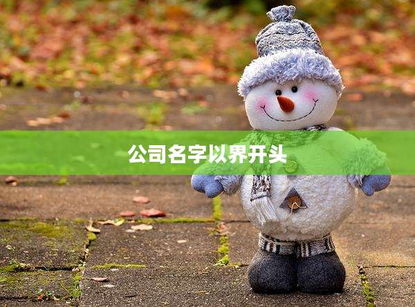 公司名字以界开头