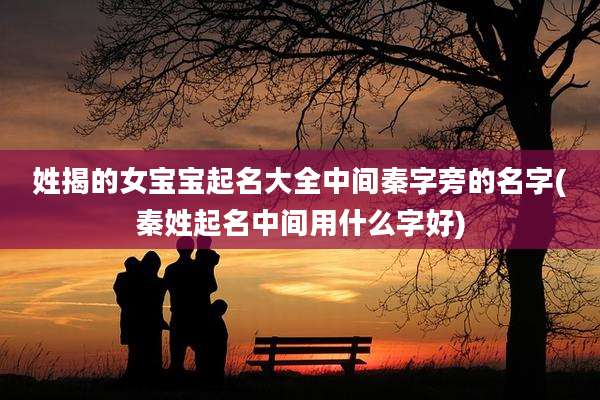姓揭的女宝宝起名大全中间秦字旁的名字(秦姓起名中间用什么字好)