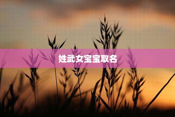 姓武女宝宝取名