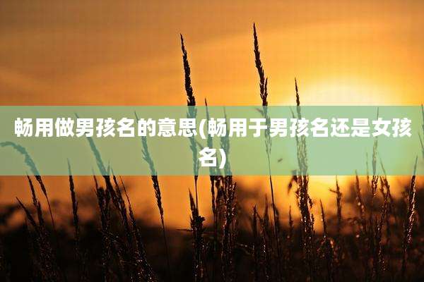 畅用做男孩名的意思(畅用于男孩名还是女孩名)