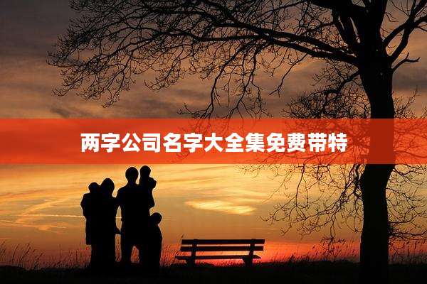 两字公司名字大全集免费带特