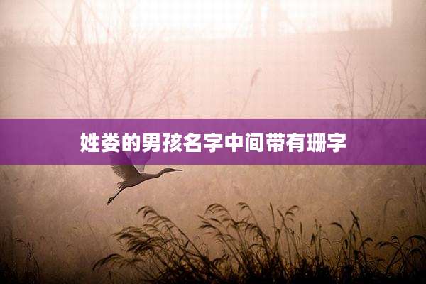 姓娄的男孩名字中间带有珊字