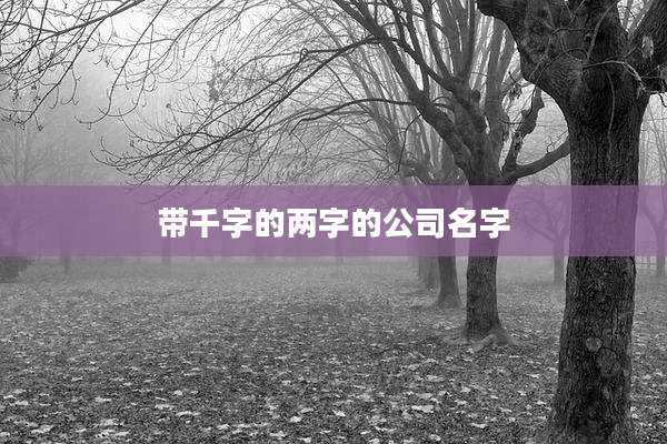 带千字的两字的公司名字