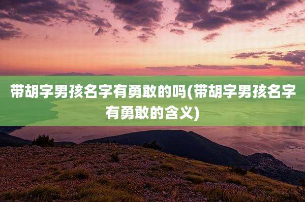 带胡字男孩名字有勇敢的吗(带胡字男孩名字有勇敢的含义)