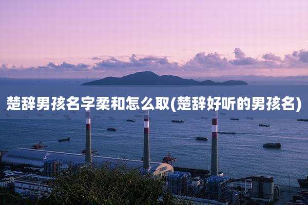 楚辞男孩名字柔和怎么取(楚辞好听的男孩名)