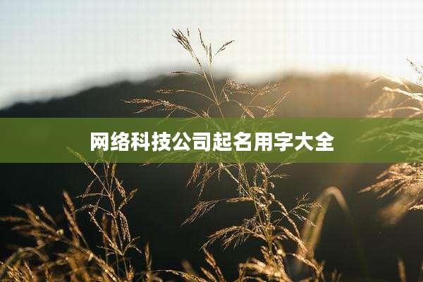 网络科技公司起名用字大全