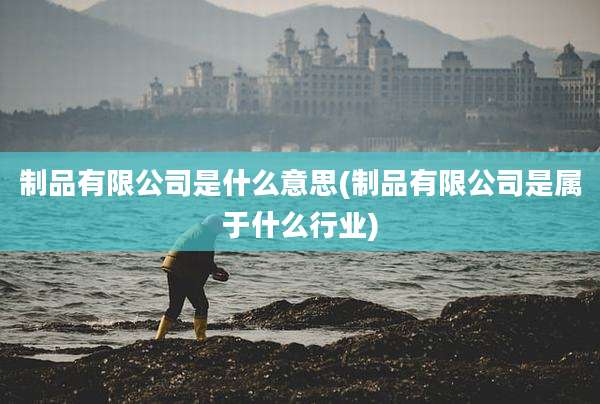 制品有限公司是什么意思(制品有限公司是属于什么行业)