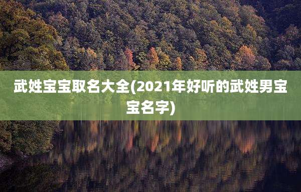 武姓宝宝取名大全(2021年好听的武姓男宝宝名字)