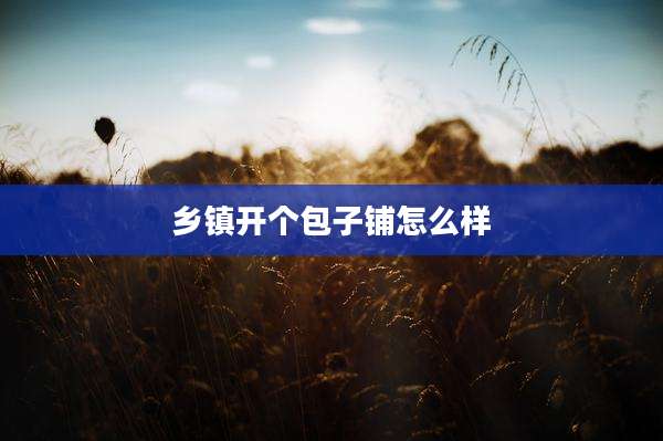 乡镇开个包子铺怎么样