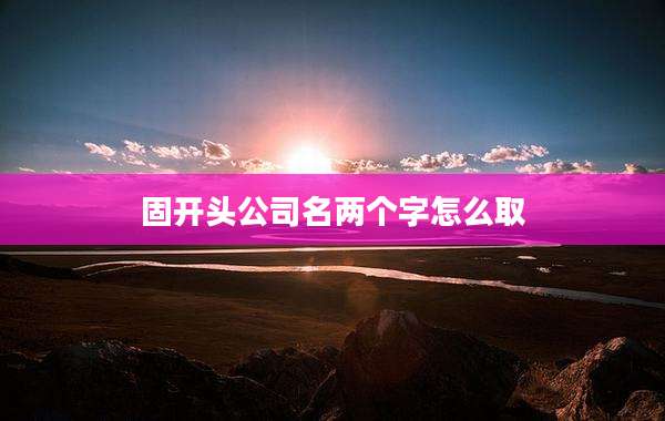 固开头公司名两个字怎么取