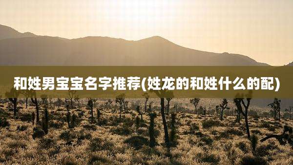 和姓男宝宝名字推荐(姓龙的和姓什么的配)