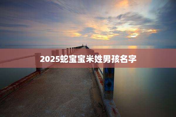 2025蛇宝宝米姓男孩名字