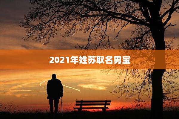 2021年姓苏取名男宝