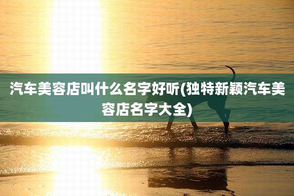 汽车美容店叫什么名字好听(独特新颖汽车美容店名字大全)