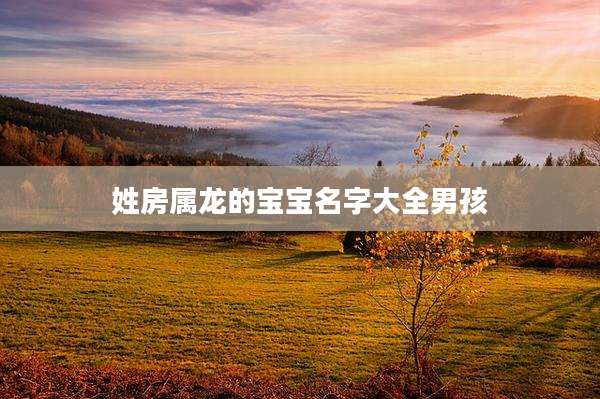 姓房属龙的宝宝名字大全男孩